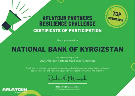 «Стойкость партнеров сети «Aflatoun International»